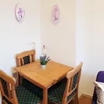 Elena Flat Lavendel Zentrum Duisburg