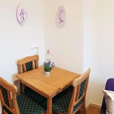 Elena Flat Lavendel Zentrum Duisburg