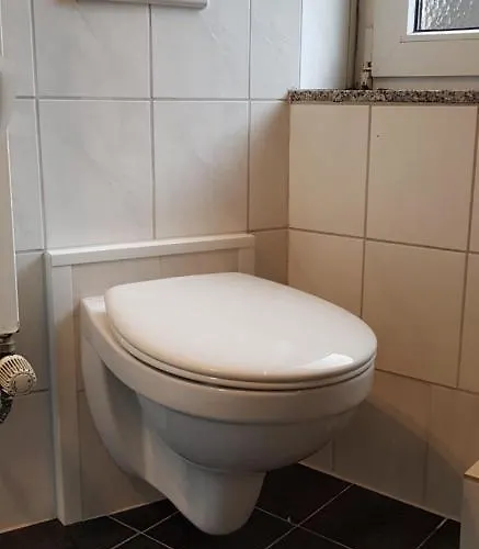 Elena Flat Lavendel Zentrum *