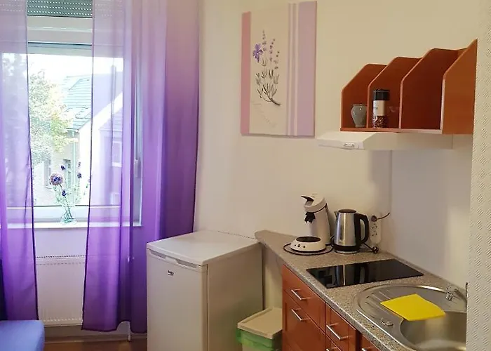 Elena Flat Lavendel Zentrum